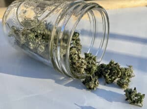 Marijuana flower buds spilling out of a mason jar