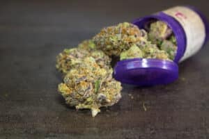 Grape Ape Strain