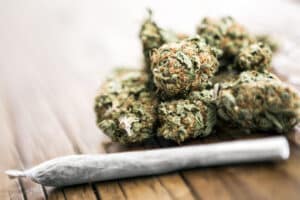 Medical cannabis joint on cannabis buds on wooden table
